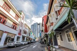 Bukit Pasoh Conservation Area (D2), Shop House #527522841